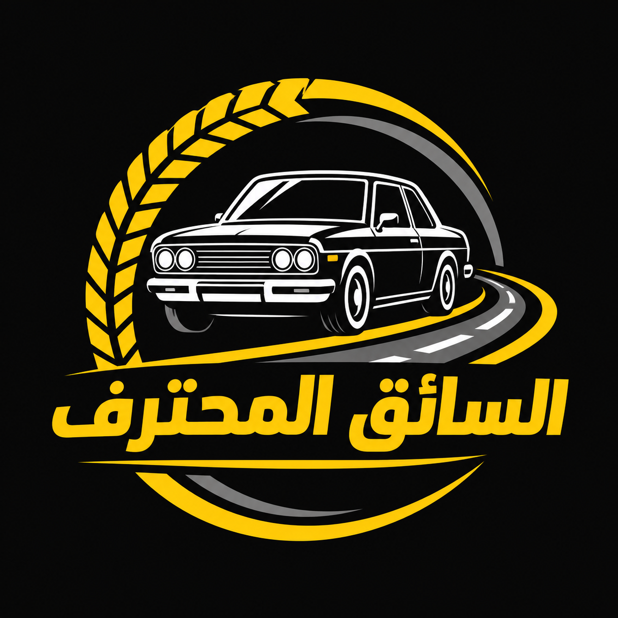السائق المحترف